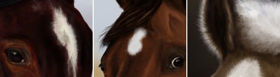 Как рисовать лошадей - Тонкости, приемы, советы