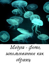"Подводная Жизнь" - Королева Медуз