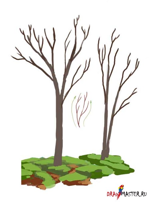Как рисовать Деревья