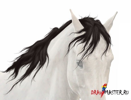 Как нарисовать Гриву лошади