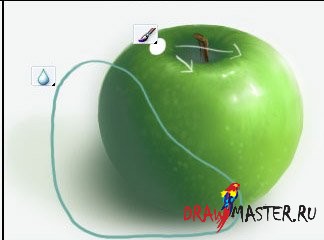 Как нарисовать зеленое яблоко