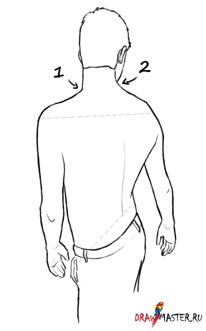 Как нарисовать фигуру, смотрящую через плечо