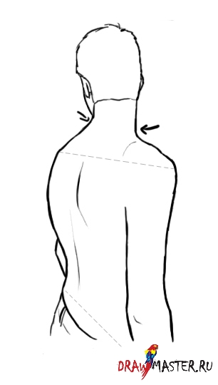 Как нарисовать фигуру, смотрящую через плечо