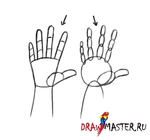 Как рисовать Кисть руки и Стопу