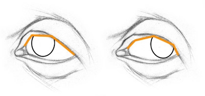 Как рисовать Глаза