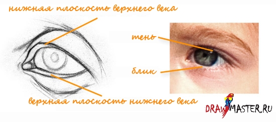 Как рисовать Глаза