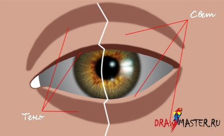 Как нарисовать Реалистичные глаза – Часть 2