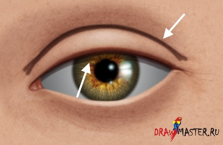 Как нарисовать Реалистичные глаза – Часть 3