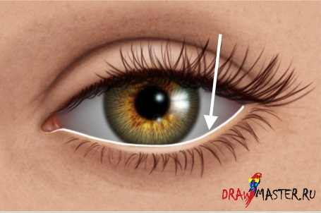 Как нарисовать Реалистичные глаза – Часть 3