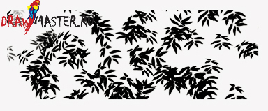  Photoshop -   ( 1)