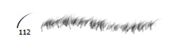     (Grass brush)  Photoshop