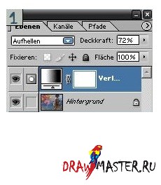    Photoshop