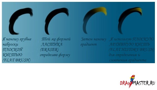  :  Photoshop  