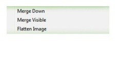  :  Photoshop  