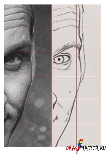      Photoshop
