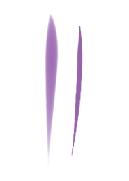     Paint Tool SAI
