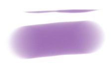     Paint Tool SAI